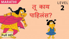 What did you see? marathi