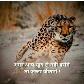 Nagji Patel Patel