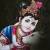 Sachin Soni videos on Matrubharti