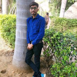 Bipin Vankar