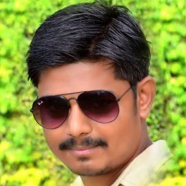 Krishna Raj