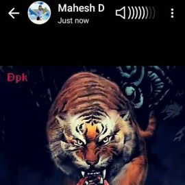 Paresh Thakor