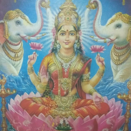 ममता