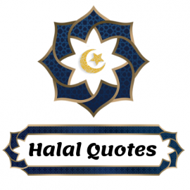 Halal Quotes