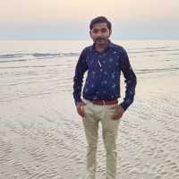 Vijay vaghani