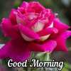 Monali S
