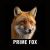 PRIME_FOX FM videos on Matrubharti