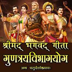 MB (Official) द्वारा लिखित  Shrimad Bhagwat geeta Adhyay 14 बुक Hindi में प्रकाशित