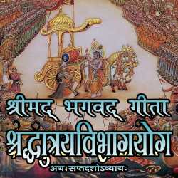 MB (Official) द्वारा लिखित  Shrimad Bhagwat geeta - Adhyay 17 बुक Hindi में प्रकाशित