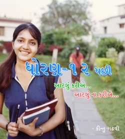 Dhoran 12 Pachhi - Aatlu Karie... Aatlu Na Karie... by Kintu Gadhavi in Gujarati