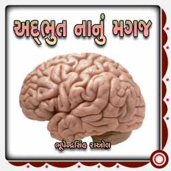 Adbhut Nanu Magaj by Bhupendrasinh Raol in Gujarati