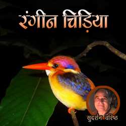 Rangeen Chidiya by Sudarshan Vashishth in Hindi