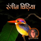 Sudarshan Vashishth profile