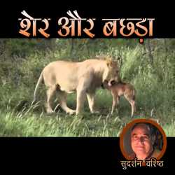 Sher Aur Bachchada by Sudarshan Vashishth in Hindi