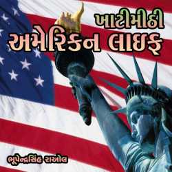 ખાટીમીઠી અમેરિકન લાઇફ by Bhupendrasinh Raol in Gujarati