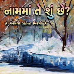 Naam-ma Te Shun Chhe? by Pallavi Jeetendra Mistry in Gujarati