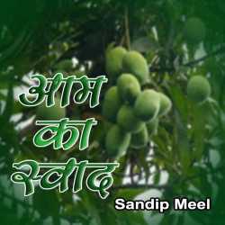 Sandeep Meel द्वारा लिखित  Aam Ka swaad बुक Hindi में प्रकाशित