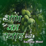 Sandeep Meel profile