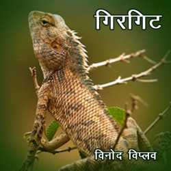 Girgit by Vinod Viplav in Hindi