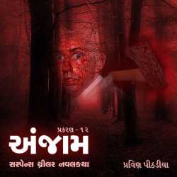 Anjaam Chapter-12 by Praveen Pithadiya in Gujarati