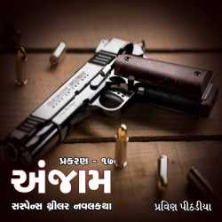 Anjaam Chapter-17 by Praveen Pithadiya in Gujarati