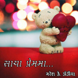 Naresh k Dodiya profile