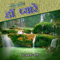 neem hakim dr pyare by Ved Prakash Tyagi in Hindi