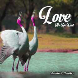 Love: No Age Limit by Avinash Pandey in English