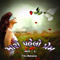 મારો પહેલો પ્રેમ ભાગ - ૩ દ્વારા Triku Makwana in Gujarati