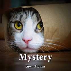 Sonu Kasana द्वारा लिखित  Mystery बुक Hindi में प्रकाशित