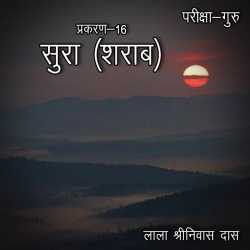 परीक्षा-गुरु - प्रकरण-16 द्वारा  Lala Shrinivas Das in Hindi