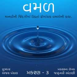 વમળ   પ્રકરણ -3 દ્વારા Shabdavkash in Gujarati