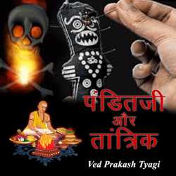 Ved Prakash Tyagi द्वारा लिखित  Panditji aur Tantrik बुक Hindi में प्रकाशित