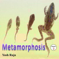 Metamorphosis: Chapter 2