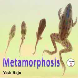 Metamorphosis: Chapter 2 by Yash Raja in English