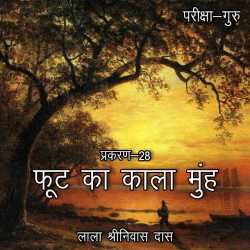 परीक्षा-गुरु - प्रकरण-28 by Lala Shrinivas Das in Hindi