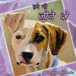 Prashant Salunke द्वारा लिखित  Hame bhi jine do बुक Hindi में प्रकाशित