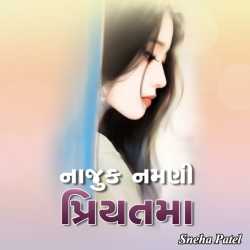 Najuk Namni Priytama - 4 by Sneha Patel in Gujarati