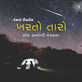 Amit Radia profile