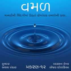વમળ       પ્રકરણ -12 દ્વારા Shabdavkash in Gujarati