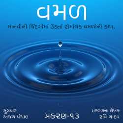 વમળ  પ્રકરણ 13 દ્વારા Shabdavkash in Gujarati
