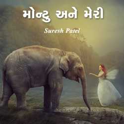 Montu ane Mery by Suresh Patel in Gujarati