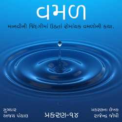 વમળ  પ્રકરણ 14 દ્વારા Shabdavkash in Gujarati