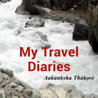 My Travel Diaries - Srinagar
