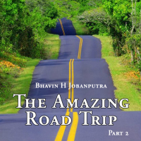 The Amazing Road Trip -2