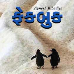 Fackbook by Jignesh Ribadiya in Gujarati