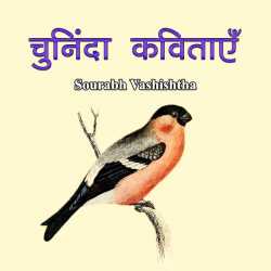 chuninda kavitaaen द्वारा  Sourabh Vashishtha in Hindi