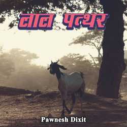 Lal Patthar by Pawnesh Dixit in Hindi