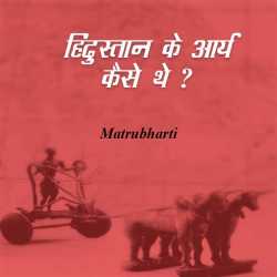 MB (Official) द्वारा लिखित  Hindistha ke aary kaise tha बुक Hindi में प्रकाशित