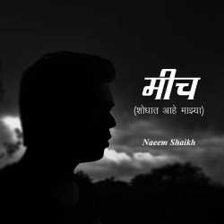 मीच.... by Naeem Shaikh in Marathi